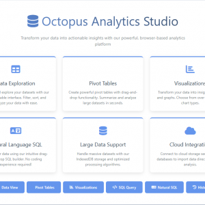 erp octopus data analytics