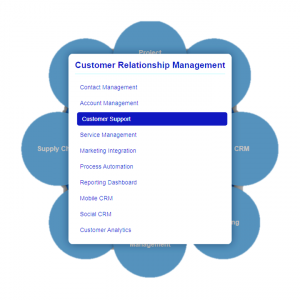 erp crm tool module