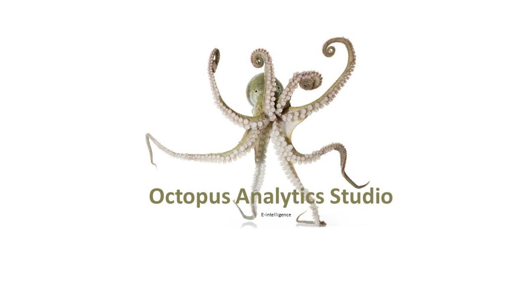 erp octopus analytics studio: e intelligence erp octopus analytics studio: e intelligence