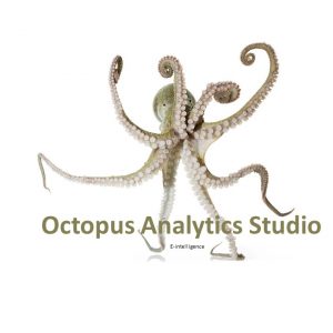 erp octopus analytics studio: e intelligence