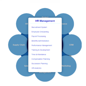 erp hr management module