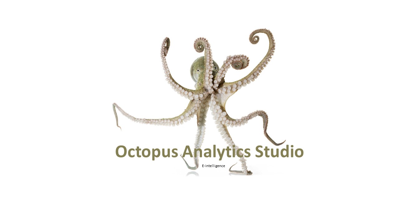 erp octopus analytics studio: e intelligence