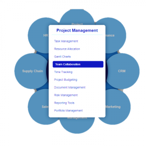 erp project management module