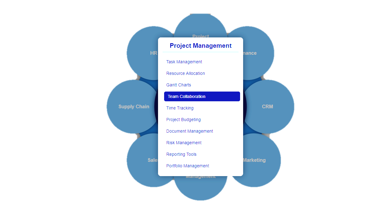erp project management module