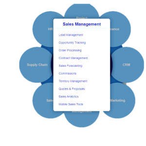 erp sales management module